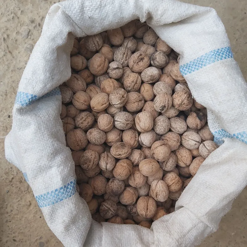 Yong'oq sotiladi 100 kg atrofida — фото 1