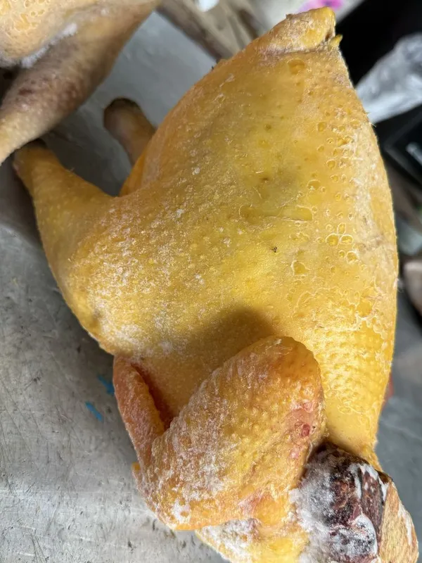 Uy parrandalari sotiladi 2 Uy parrandalari sotiladi 2