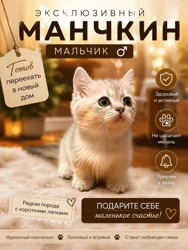 Летняя цена , Манчкин 3 Летняя цена , Манчкин 3