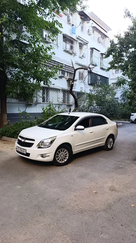 COBALT LTZ avtomobilimni sotaman 1