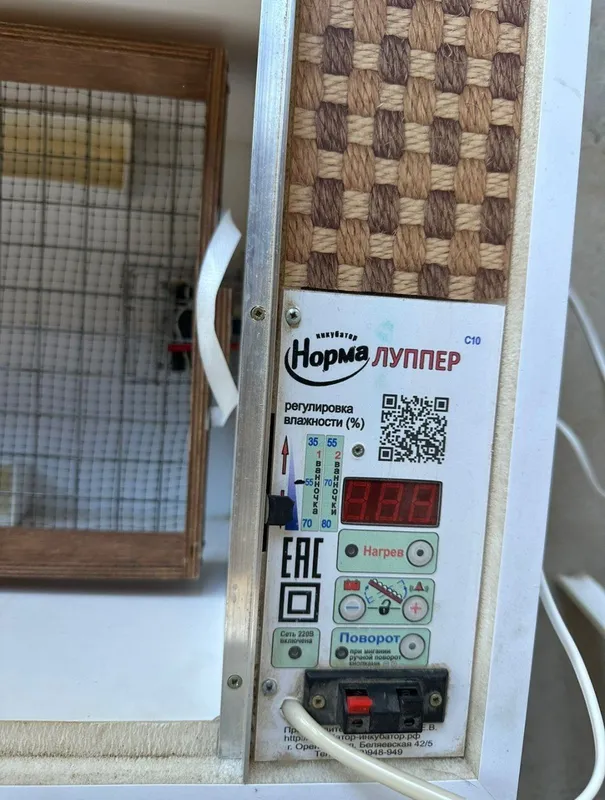 Инкубатор Norma Lupper C10 2 Инкубатор Norma Lupper C10 2