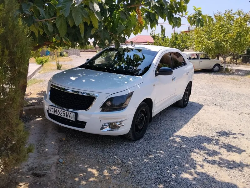Cobalt 2019 Ravon 1 Cobalt 2019 Ravon 1