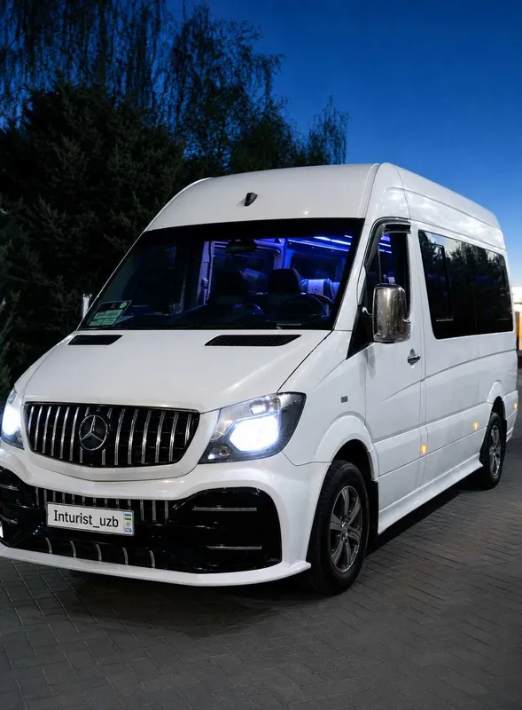 Mercedes-Benz Sprinter | Transfer va safarlar | Горы | Туры | Аэропорт — фото 4