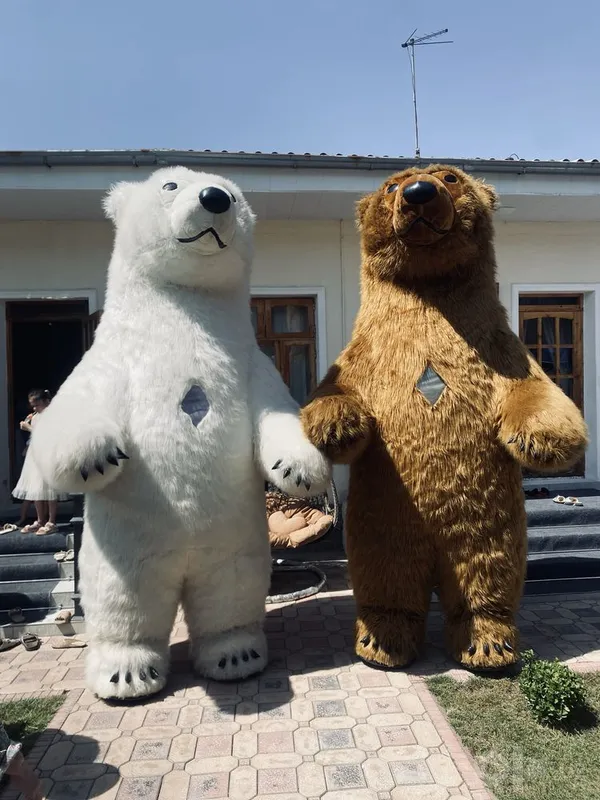 котта айула сотилади 1 котта айула сотилади 1