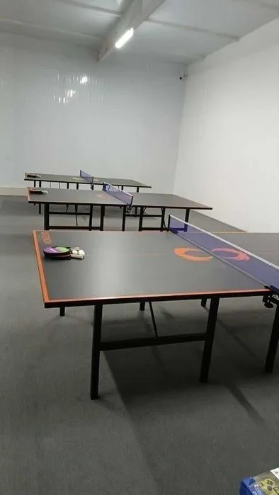 Стол теннис stol tennis Ping Pong — фото 5