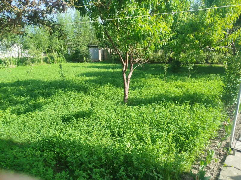 продам 6 соток дом — фото 3