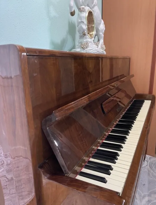 Scholze pianinosi 2