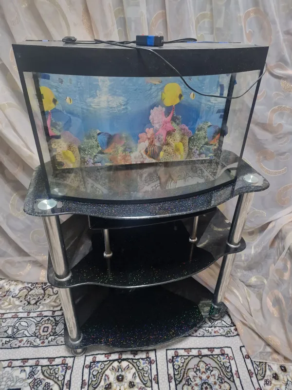 Shisha taglikli akvarium 2 Shisha taglikli akvarium 2