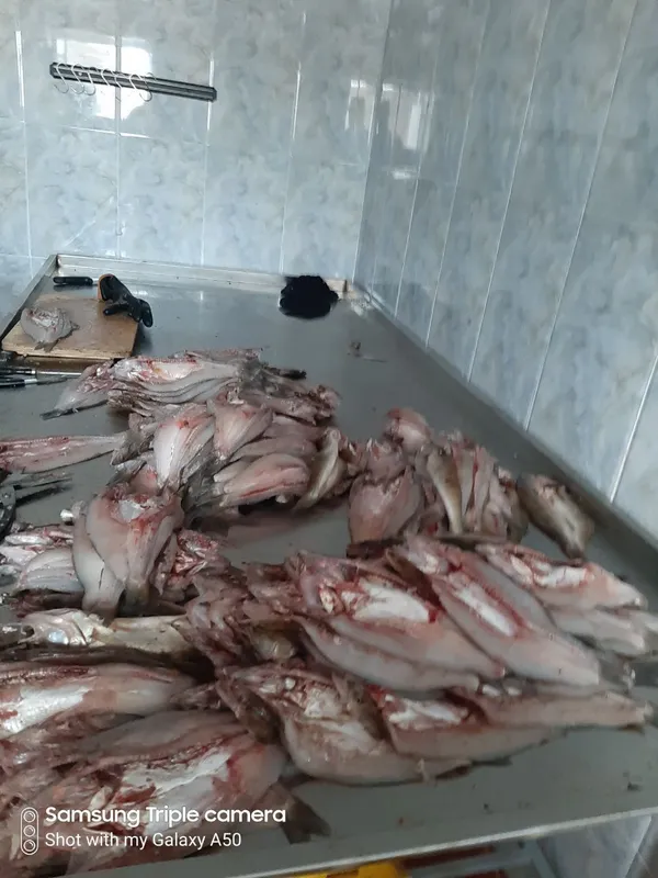"Sazanchik servis savdo" Mchj MChj Ишончл