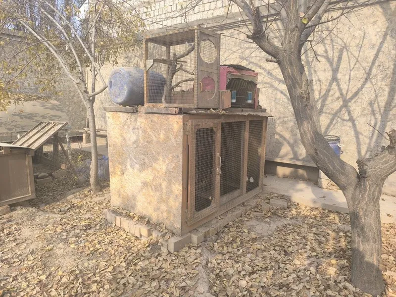 Товуқ хона сотилади 2×1×1, 10 та товуқга мўлжалланган