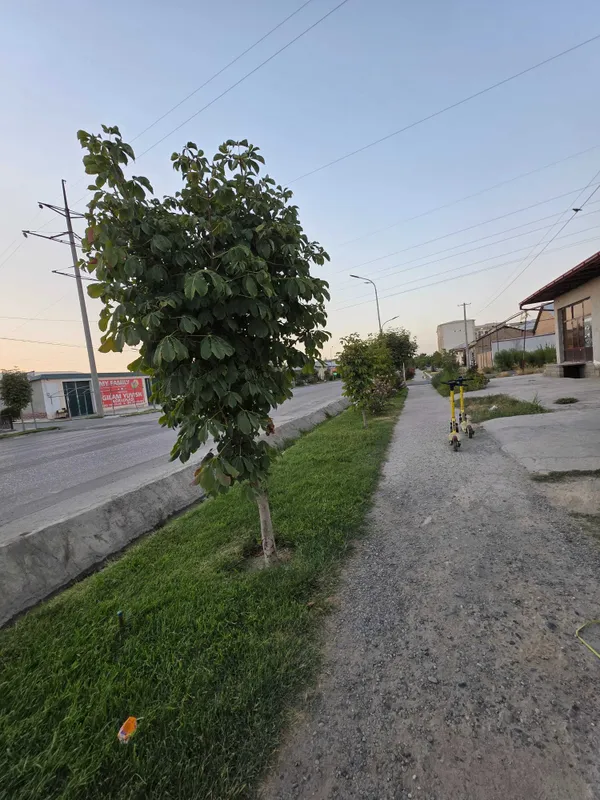 Magazin, Sotiladi ili Obmen kvartiru — фото 1