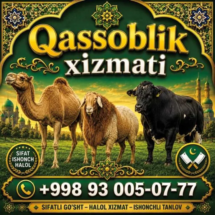 qassob xizmati tez va sifatli