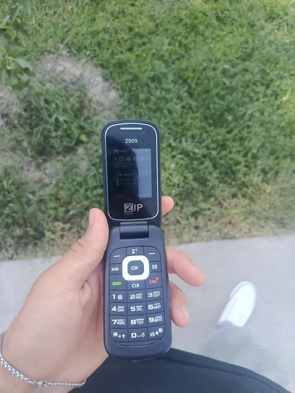 Кнопычный телефон раскладушка зип 909