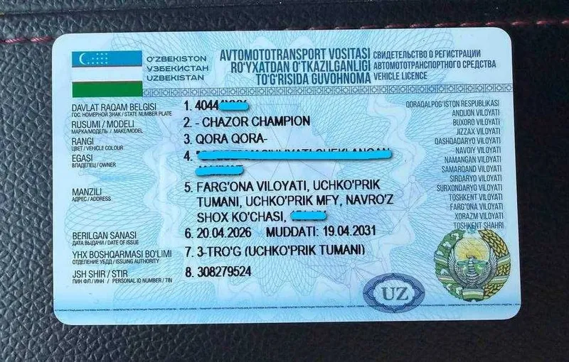 BYD chazor 2024 gibrid 7