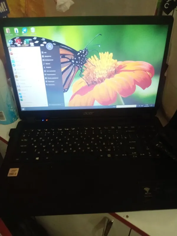 Acer kafolati bilan