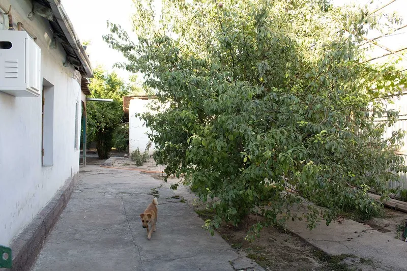 Продажа частный дом — фото 3