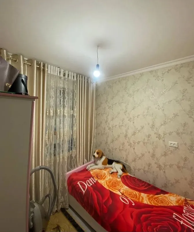 2 xonali kvartira sotiladi 5