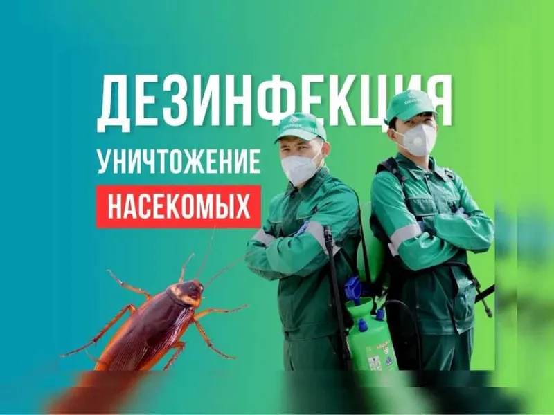 Дезинфекция Ташкент от клопов тараканов | Dezinfeksiya | Гарантия 1 г