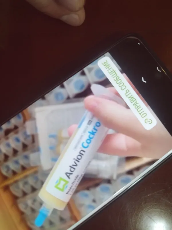 Samsung A53 5g kami bor 2 Samsung A53 5g kami bor 2