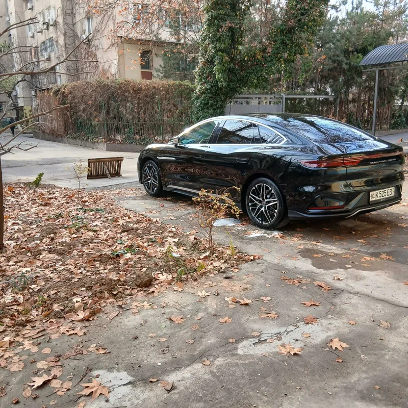 Водитель Ташкента предлагает на Byd HAN 6