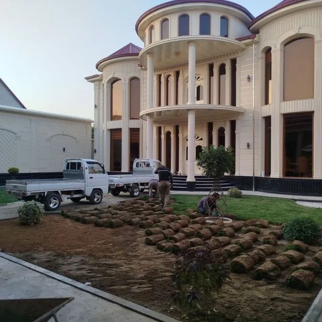 Gazon bor katta miqdorda Samarqand buylab — фото 2