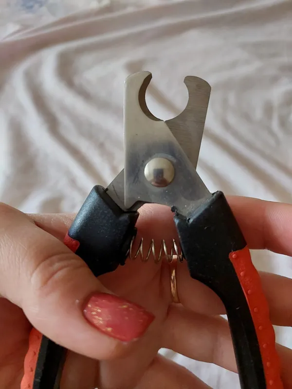 Когтирезка для животных.