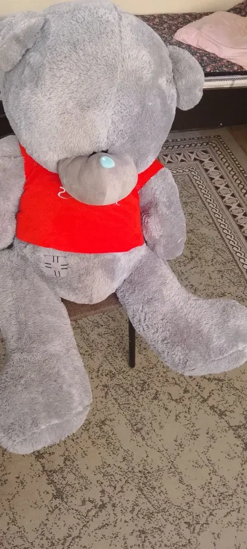 Ayiqcha toza va ozoda . Holati yangi.