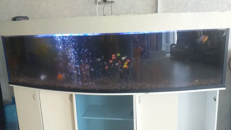 Аквариум akvarium 1 Аквариум akvarium 1
