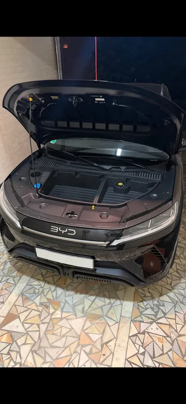 BYD YUAN UP tashkilotchisi 4 BYD YUAN UP tashkilotchisi 4