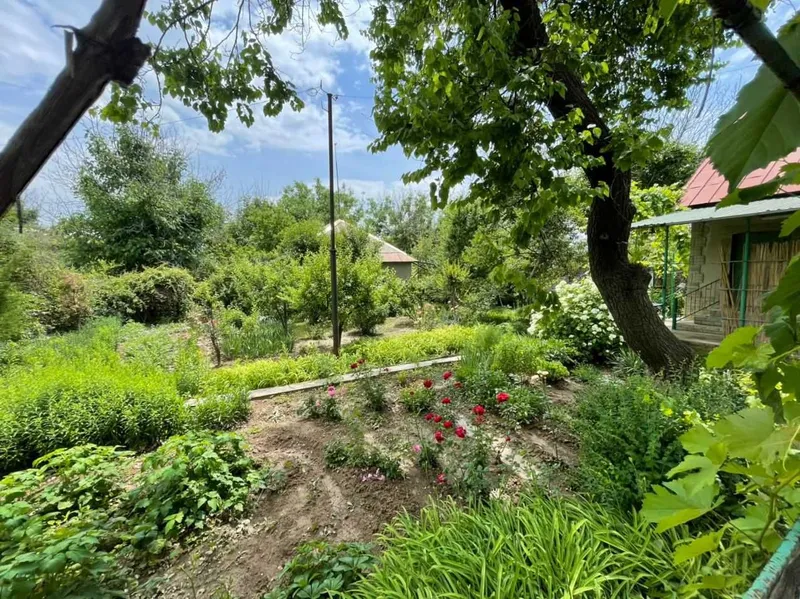 Продается дача навбахор — фото 2