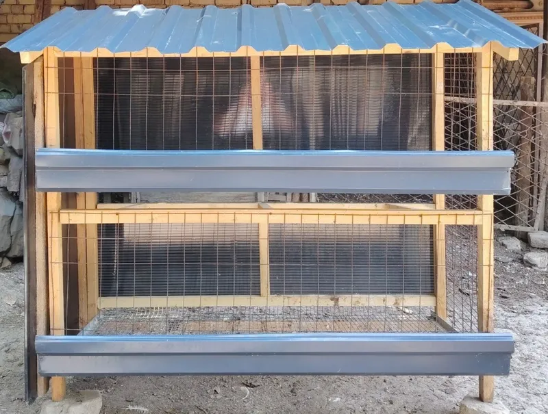 To'vuqga katak (in) sotiladi 1