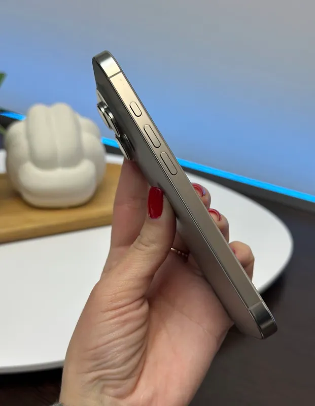 iPhone 16 Pro 256Gb Titan, АКБ: 87% Договоримся 3