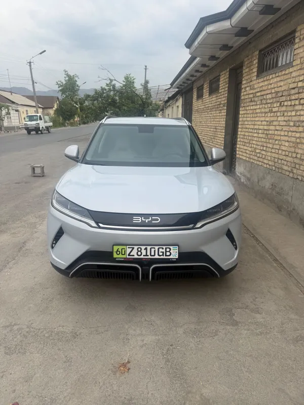 yuan up byd 2025 1 yuan up byd 2025 1