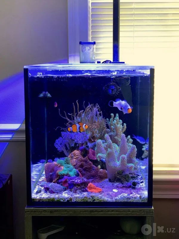 buyurtma asosida akvariumlar buyurtma asosida akvariumlar