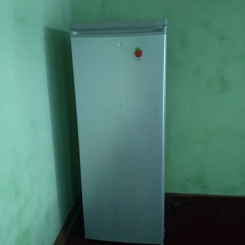 Artel muzlatgichi 3