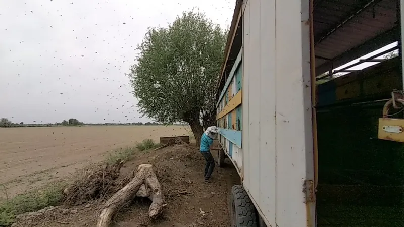 Продам пчелоприцеп — фото 3
