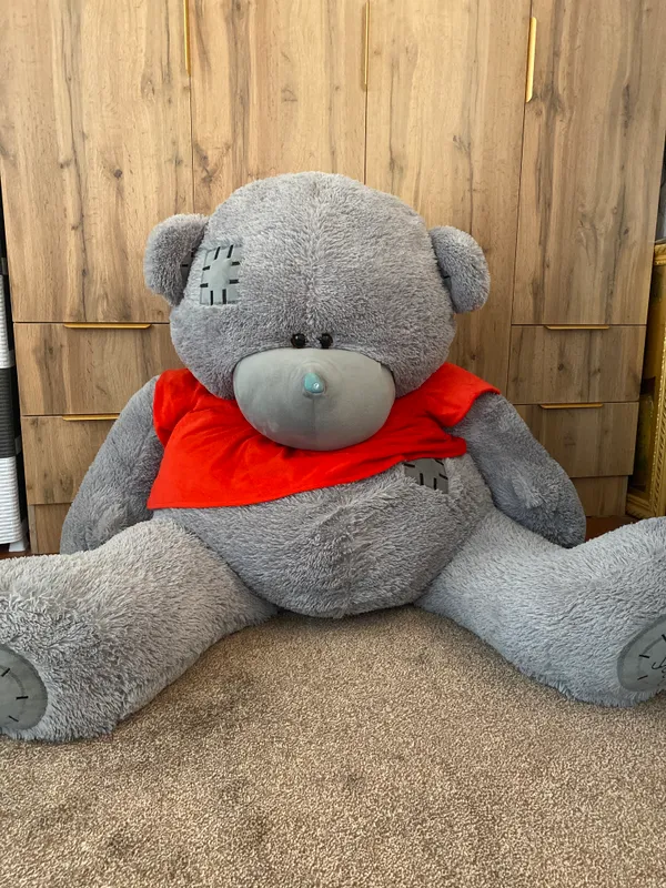 Teddy 2