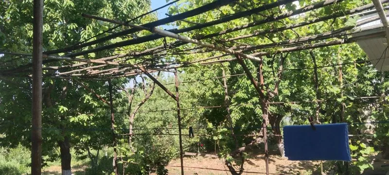 Продам срочно участок в ЧарвакБурчмулла — фото 2