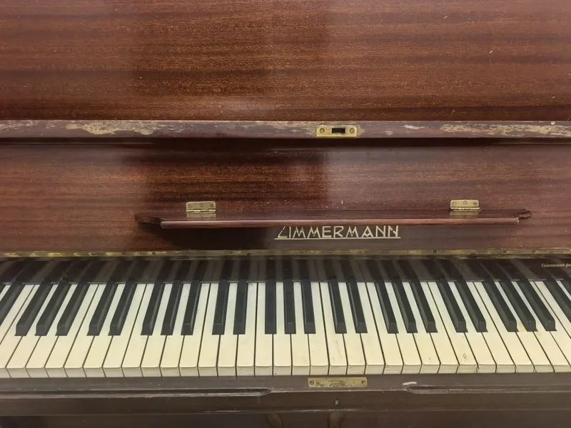 Nemis pianinosi Zimmermann (Tsimmerman) 3 Nemis pianinosi Zimmermann (Tsimmerman) 3