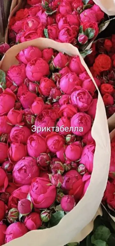 В продаже первые цветочные саженцы «Кул Дехкончилик» 3 В продаже первые цветочные саженцы «Кул Дехкончилик» 3