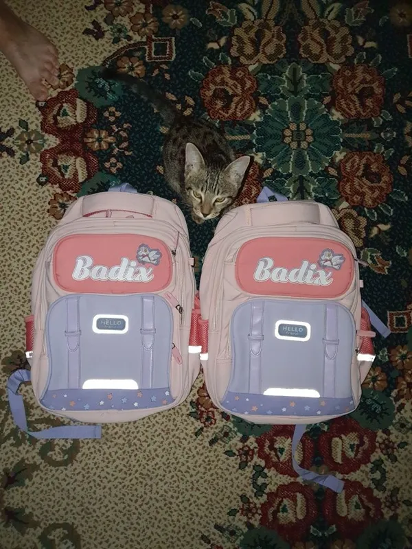 Qizlar uchun chiroyli va sifatli maktab sumkasi 5 Qizlar uchun chiroyli va sifatli maktab sumkasi 5