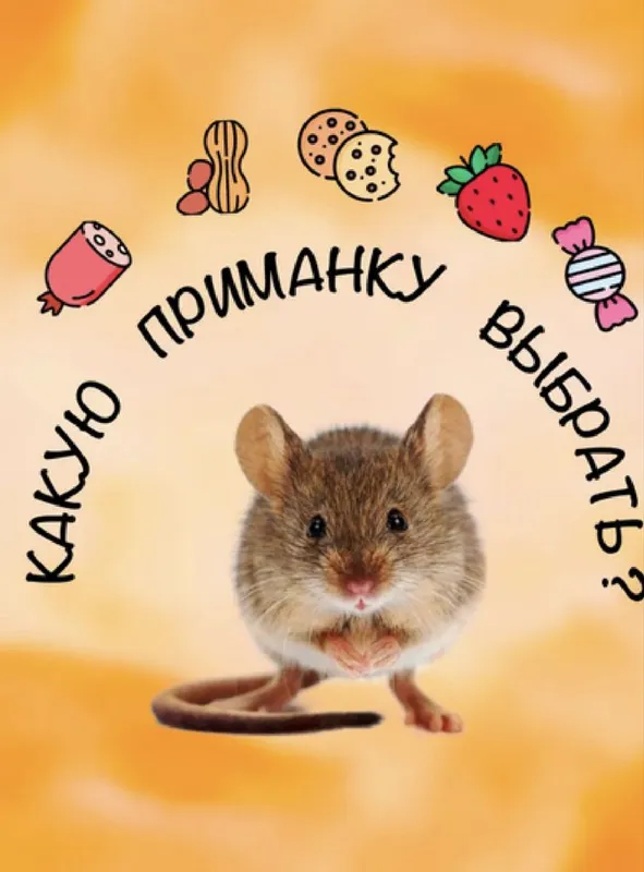 Мышеловка гуманная — фото 2