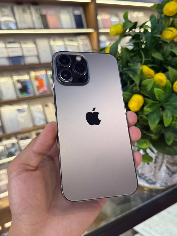 iPhone 13 Pro Max iPhone 13 Pro Max