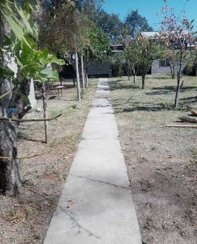 Дача 6 соток, дом 92 м², Зангиата, 14 000 $/сотка 3 Дача 6 соток, дом 92 м², Зангиата, 14 000 $/сотка 3