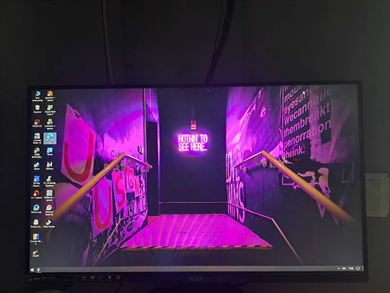 Monitor MSI 25 IPS 100Ghz