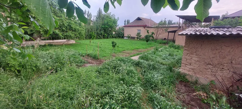 Продаётся дом в Бустанлыкском районе ( поселок Янги аул) — фото 2