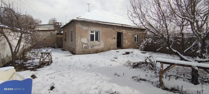 Уй эгасидан сотиладигон ховли уй нархи келишилади — фото 1