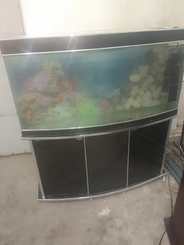 Akvarium 250 litr 6 oyna Qôship beraman dõmik Tosh filter chipiyõn s — фото 3