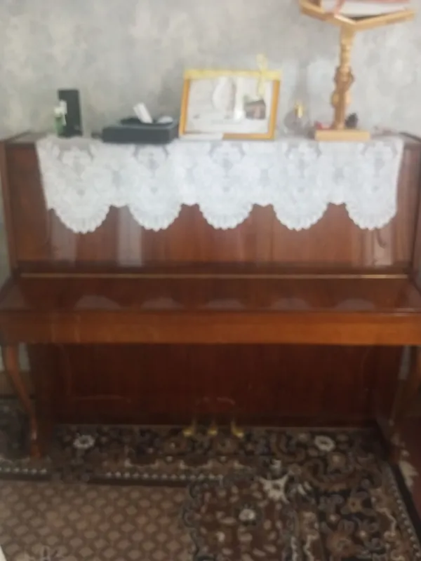 pionina ukrainiski