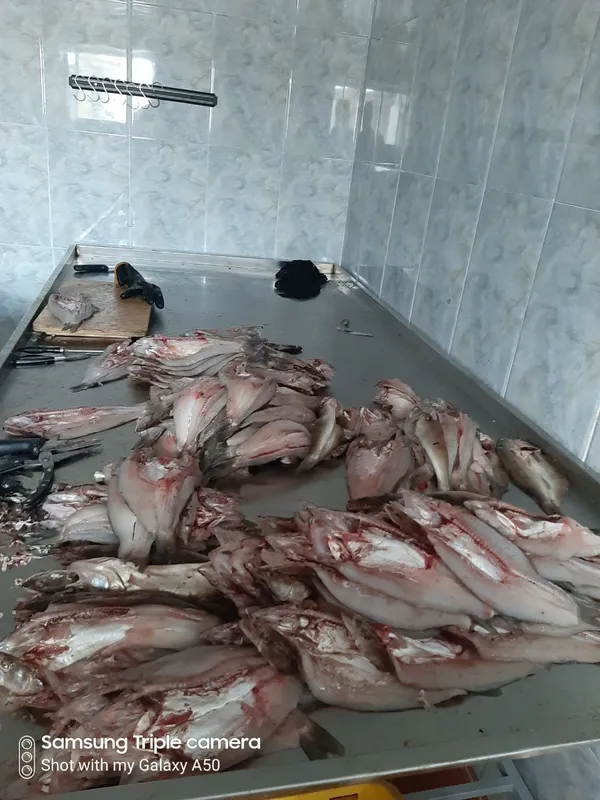 "Sazanchik servis savdo" Mchj MChj Ишончл — фото 1